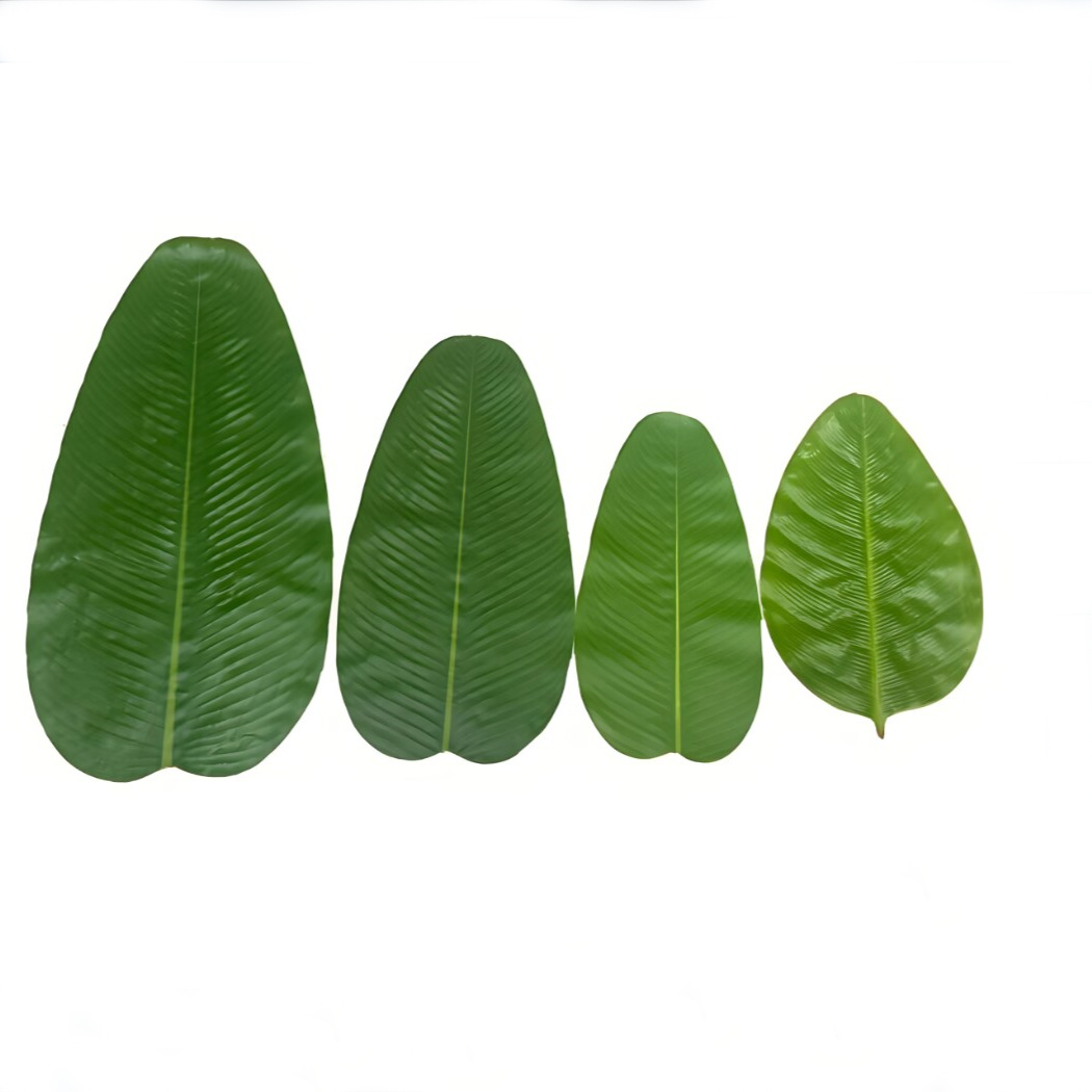 Banana Leaf Dining Table Hotel - Baby Food Banana review and price